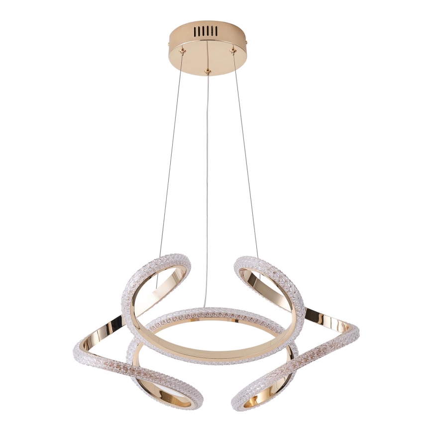 LED pendel LED/24W/230V 3000K 50x120 cm