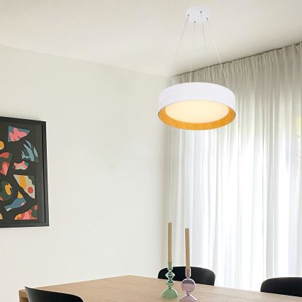 LED pendel LED/30W/230V 3000K diameter 45 cm hvid/eg