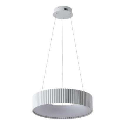 LED pendel LED/30W/230V 3000K hvid