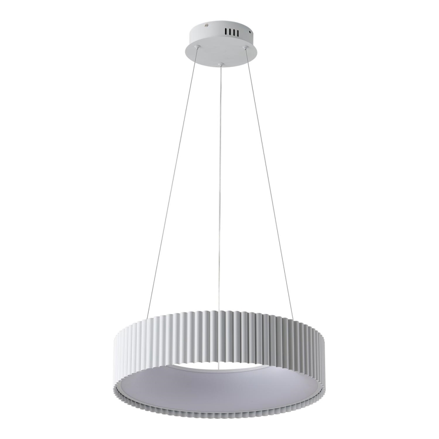 LED pendel LED/30W/230V 3000K hvid