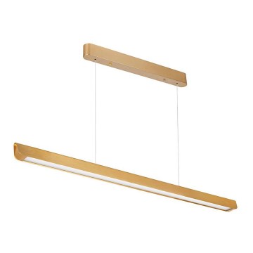 LED pendel LED/36W/230V 3000/4000/6400K guldfarvet