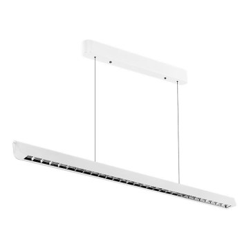 LED pendel LED/36W/230V 3000/4000/6400K hvid
