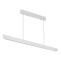 LED pendel LED/36W/230V 3000/4000/6400K hvid