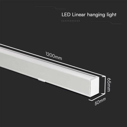 LED pendel LED/40W/230V 3000/4000/6400K hvid