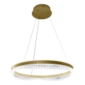 LED pendel LED/52W/230V diameter 60 cm guldfarvet