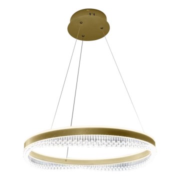 LED pendel LED/52W/230V diameter 60 cm guldfarvet