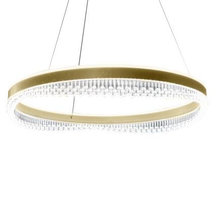 LED pendel LED/52W/230V diameter 60 cm guldfarvet