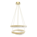 LED pendel LED/85W/230V diameter 60 cm guldfarvet