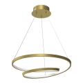 LED pendel LUCERO LED/48W/230V gylden