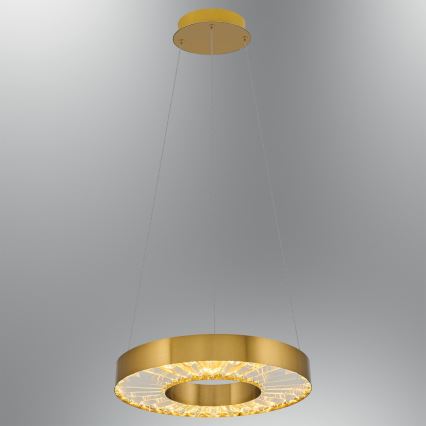 LED Pendel lys JESI LED/35W/230V 3000K diameter 40 cm bronze