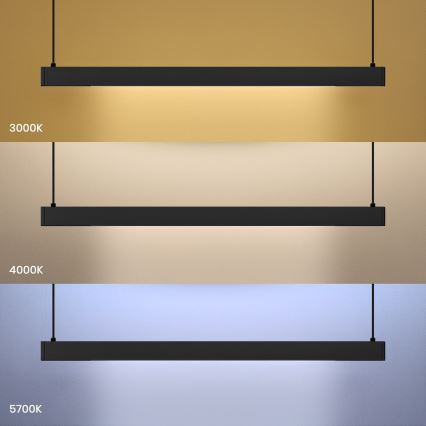 LED-pendel med ophængskabel LINEA LED/36W/230V 3000/4000/5700K CRI 90 sort