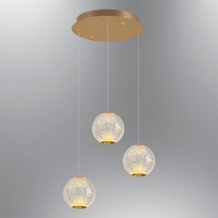 LED-pendel med wireophæng CREMONA 3xLED/5W/230V 3000K guldfarvet