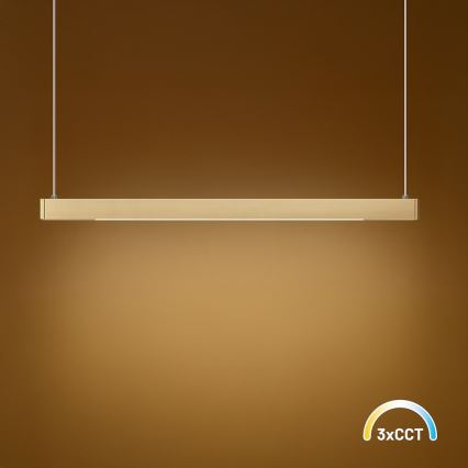 LED-pendel med wireophæng LINEA LED/36W/230V 3000/4000/5700K CRI 90 guld