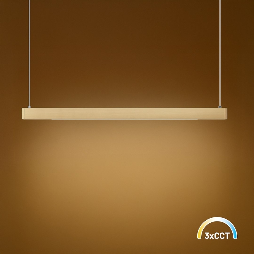 LED-pendel med wireophæng LINEA LED/36W/230V 3000/4000/5700K CRI 90 guld