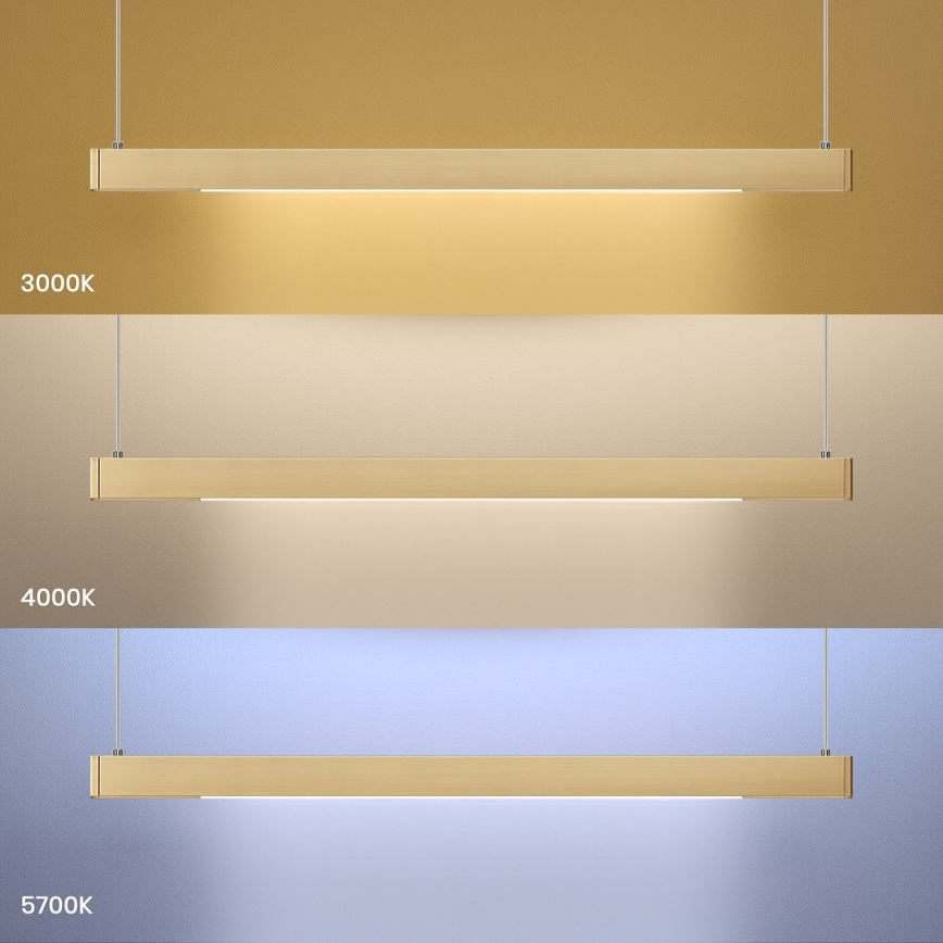 LED-pendel med wireophæng LINEA LED/36W/230V 3000/4000/5700K CRI 90 guld