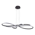 LED-pendel med wireophæng VIOLIN LED/40W/230V sort