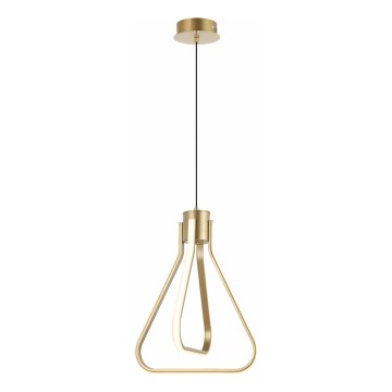 LED-pendel med wireophæng ZING LED/19W/230V guld