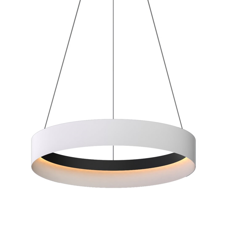 LED pendel ORBITA LED/52W/230V hvid/sort
