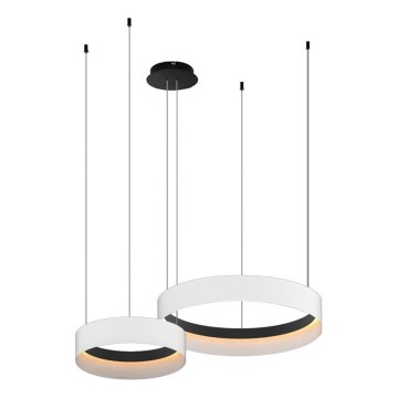 LED pendel ORBITA LED/72W/230V hvid/sort