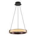 LED-pendel på kabel JESI LED/2W/230V 3000K brun