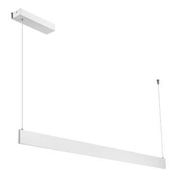 LED-pendel på kabel LINEA LED/36W/230V 3000/4000/5700K CRI 90 hvid