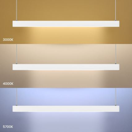 LED-pendel på kabel LINEA LED/36W/230V 3000/4000/5700K CRI 90 hvid