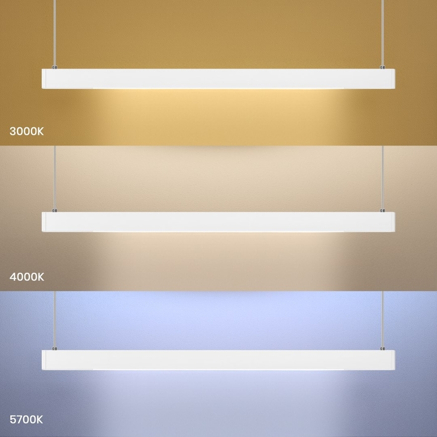 LED-pendel på kabel LINEA LED/36W/230V 3000/4000/5700K CRI 90 hvid
