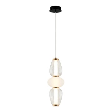 LED-pendel på kabel SHINY LED/17W/230V hvid/guld
