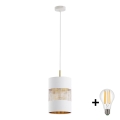 LED-pendel på wire BOGART 1xE27/15W/230V hvid/guld