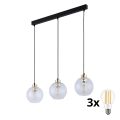 LED-pendel på wire DEVON 3xE27/15W/230V sort/klar