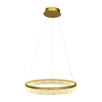LED-pendel på wire GALA LED/25W/230V Ø 50 cm, guld