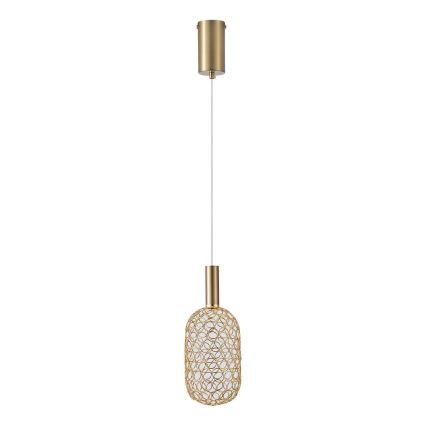 LED pendel PERFORATO LED/6,3W/230V 3000K guldfarvet diameter 13 cm