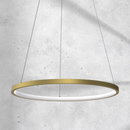 LED pendel ROTONDA LED/27W/230V gylden