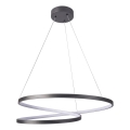 LED pendel ZEFIRA LED/52W/230V 4000K diameter 60 cm antracit
