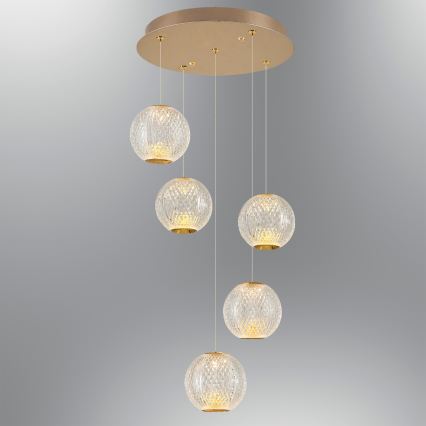 LED Pendelampe CREMONA 5xLED/5W/230V 3000K guld