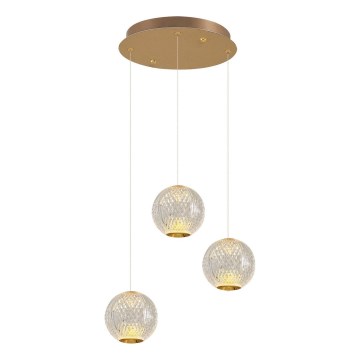 LED Pendellampe CREMONA 3xLED/5W/230V 3000K guld