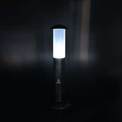 LED Portable lamp 2xLED/1xD IPX4