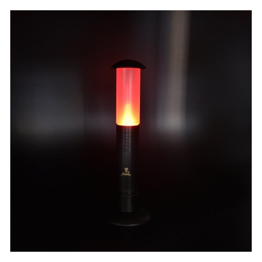 LED Portable lamp 2xLED/1xD IPX4