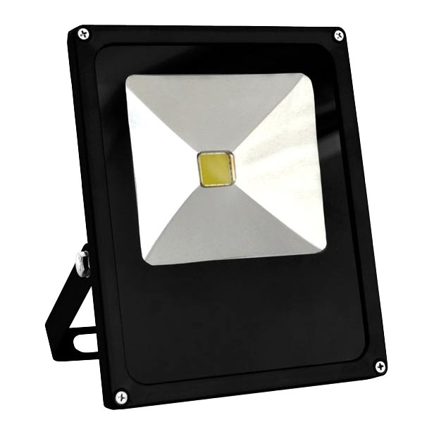 LED projektør 1xLED/30W/230V IP65