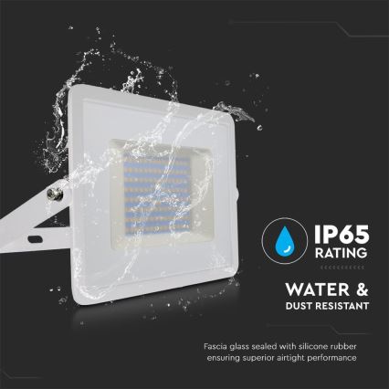 LED projektør LED/100W/230V 6500K IP65 hvid