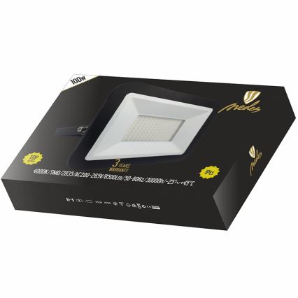 LED projektør LED/100W/230V IP65