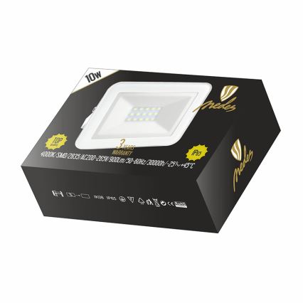 LED projektør LED/10W/230V IP65