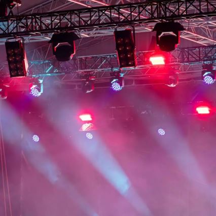 LED projektør LED/20W/230V IP65 pink lys