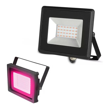 LED projektør LED/20W/230V IP65 pink lys