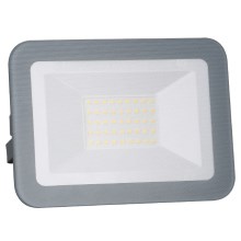 LED projektør LED/30W/230V IP65