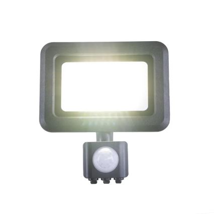 LED projektør med sensor LED/20W/230V 4000K IP44