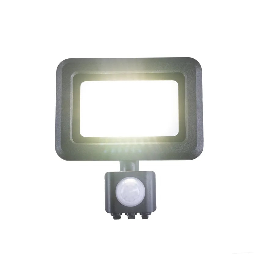 LED projektør med sensor LED/20W/230V 4000K IP44