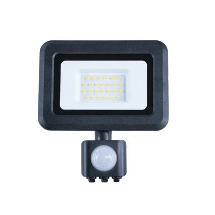 LED projektør med sensor LED/20W/230V 4000K IP44