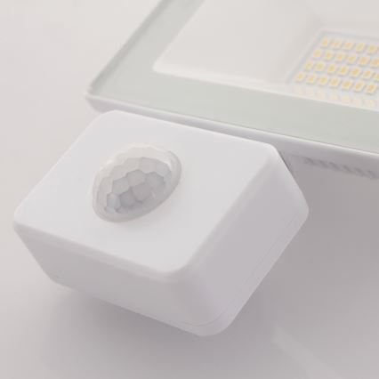 LED projektør med sensor LED/20W/230V IP65 4000K