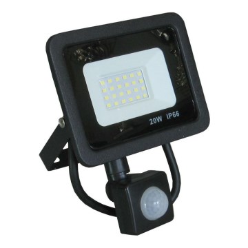 LED projektør med sensor LED/20W/230V IP66